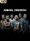 Animal Kingdom 2×02 [720p]